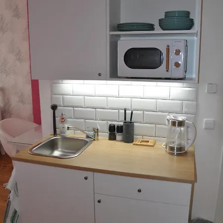 Apartman U Vaclava V Centru Mesta Litomysl Exterior photo